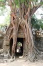 Thai09-565-Camb-Angkor