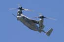 aw-06-fair-osprey-07-mt